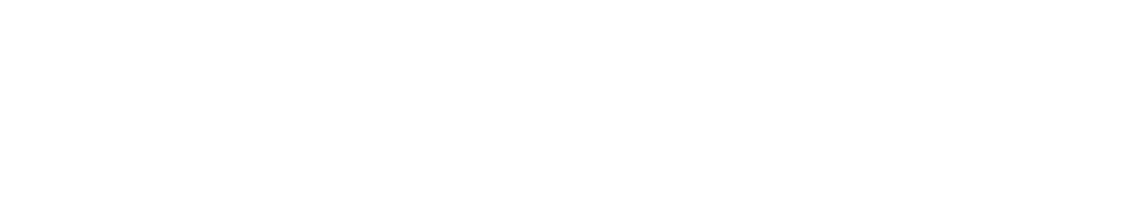 Finsist logo